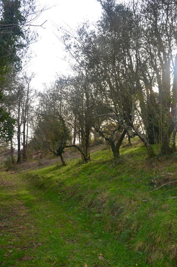 Il Giardino Secreto Lejlighed Manziana Eksteriør billede