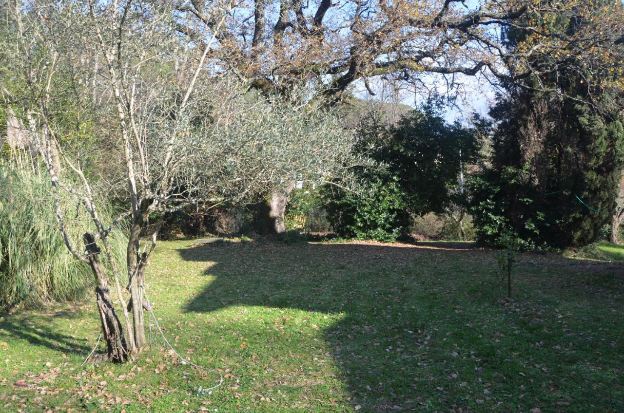 Il Giardino Secreto Lejlighed Manziana Eksteriør billede